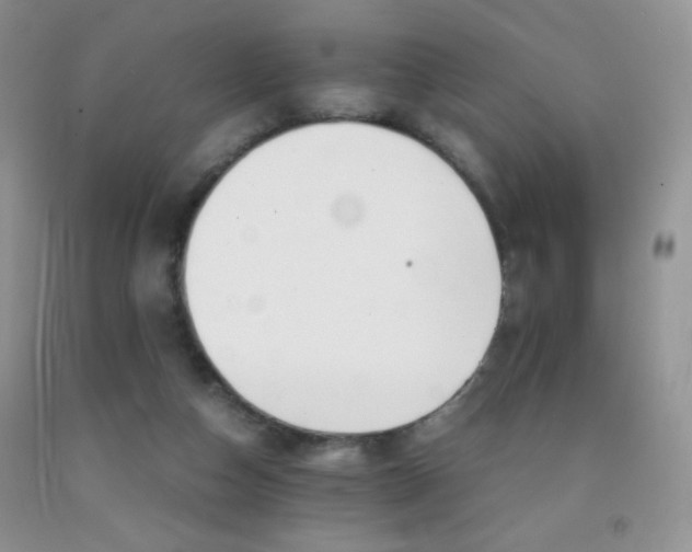 X0000092290162200709141306