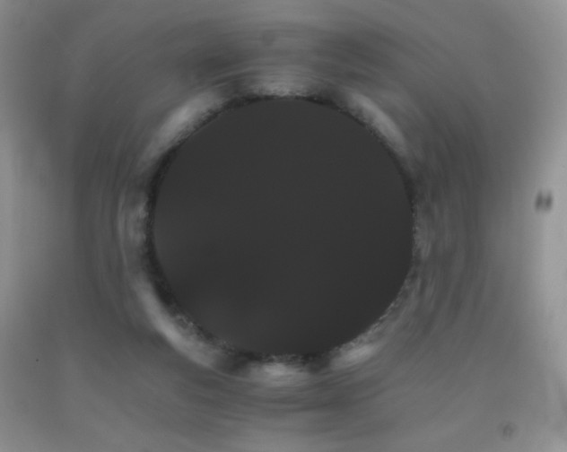 X0000092290163200709141306