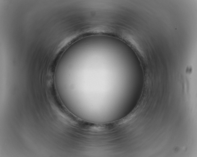 X0000092290164200709141306