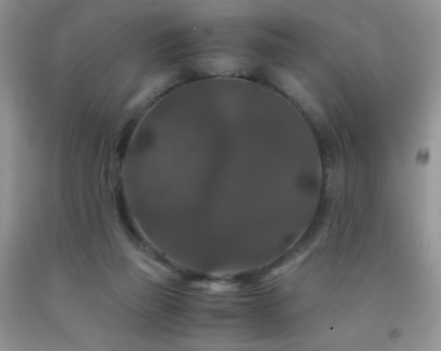 X0000092290165200709141306