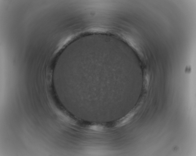 X0000092290168200709141306