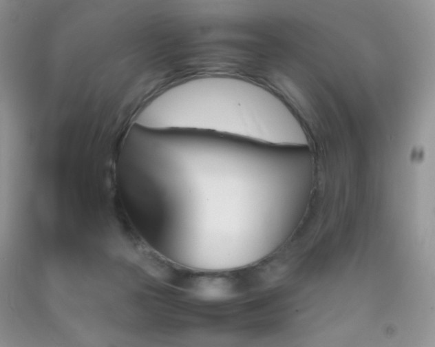 X0000092290169200709141306