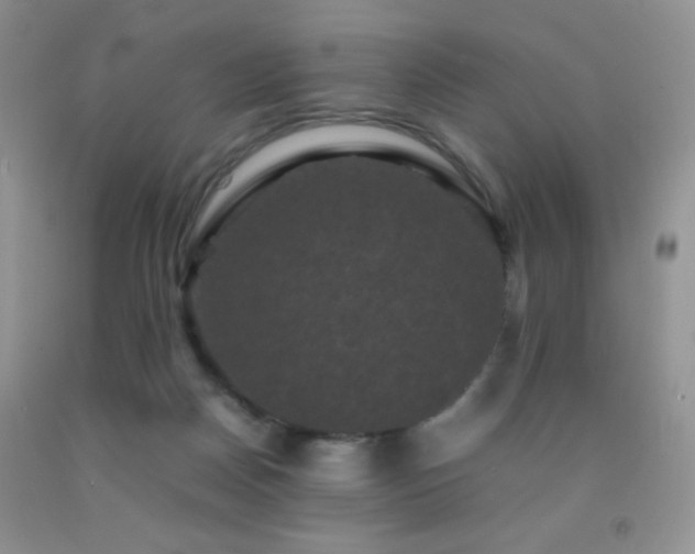 X0000092290170200709141306