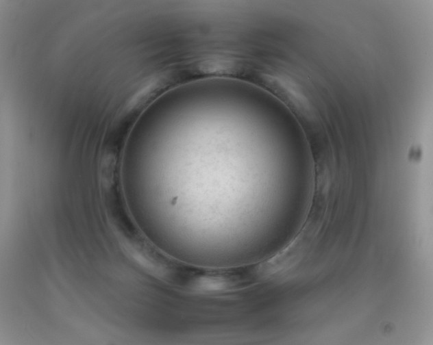 X0000092290171200709141306