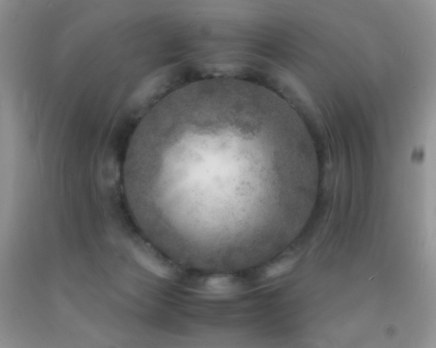 X0000092290173200709141307