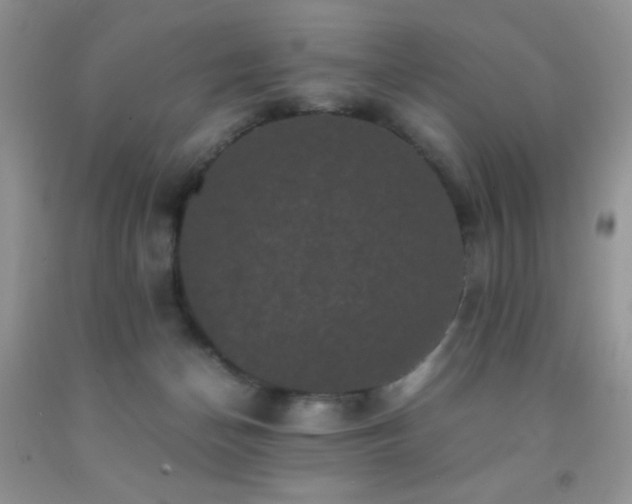 X0000092290174200709141307