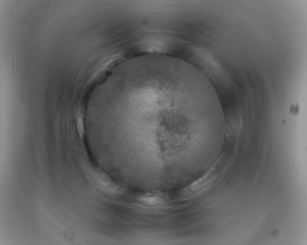 X0000092290175200709141307