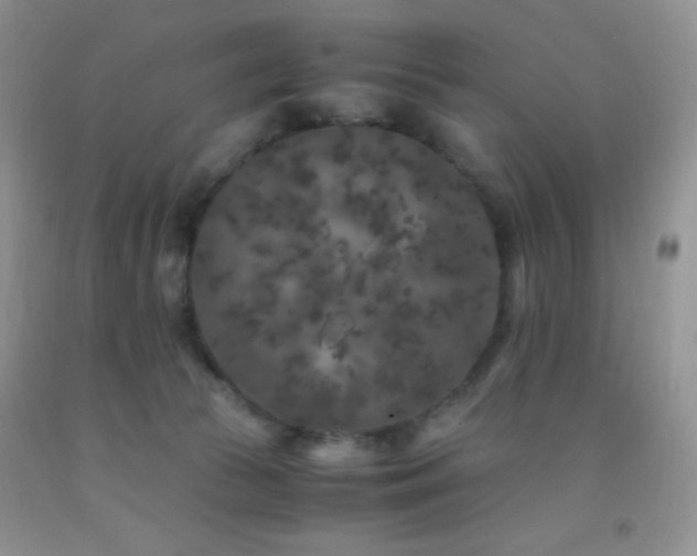 X0000092290177200709141307