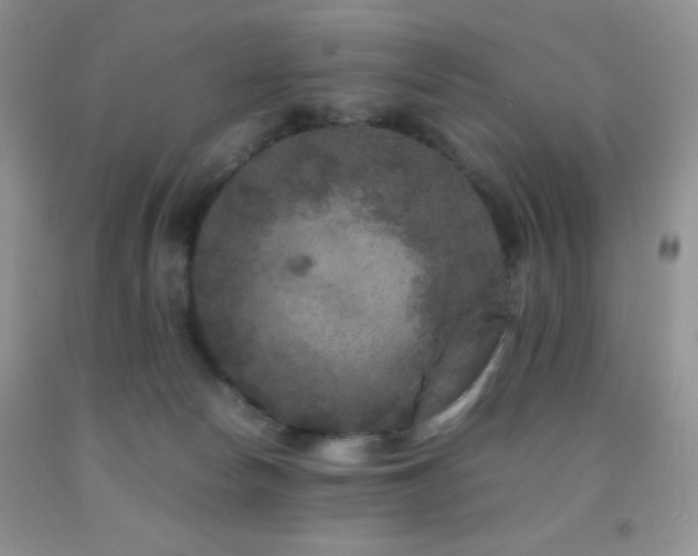 X0000092290178200709141307