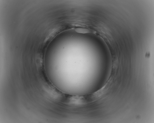 X0000092290179200709141307