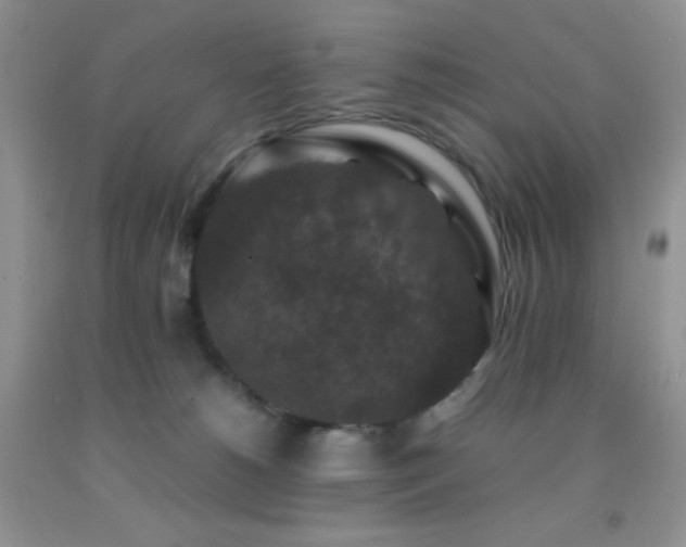 X0000092290180200709141307