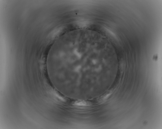 X0000092290181200709141307