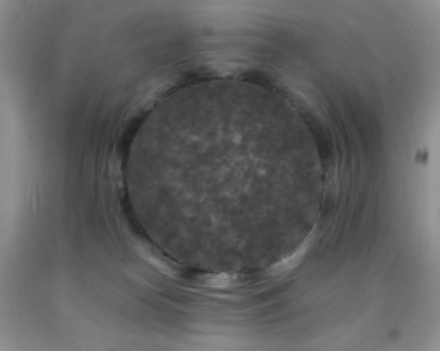 X0000092290182200709141307