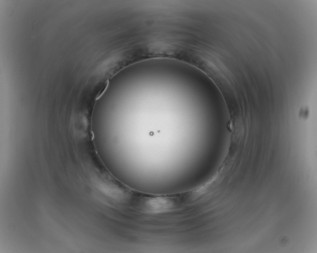 X0000092290183200709141307