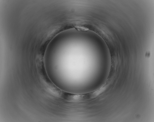 X0000092290184200709141307