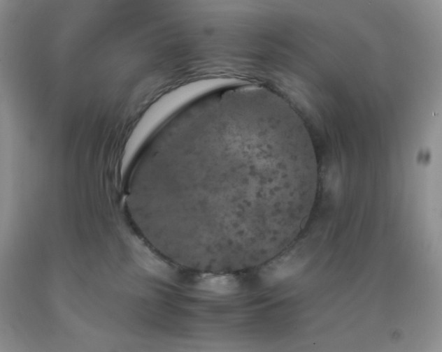 X0000092290185200709141307