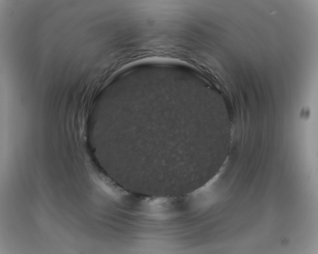 X0000092290186200709141307