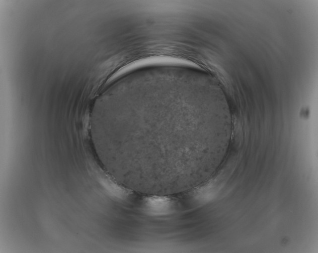 X0000092290189200709141307