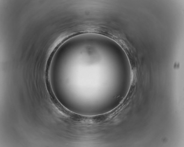 X0000092290195200709141306