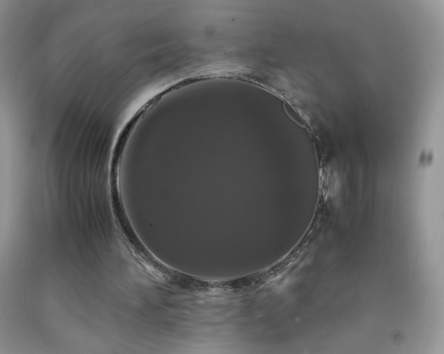 X0000092290196200709141306