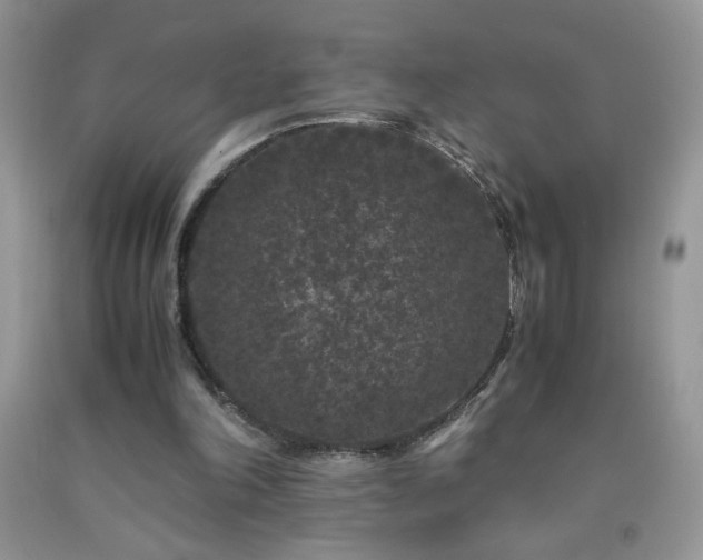 X0000092290198200709141306