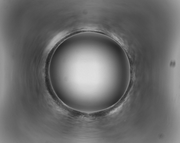 X0000092290199200709141306