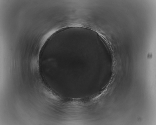 X0000092290200200709141306