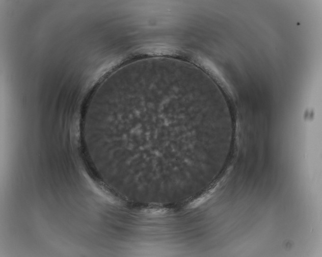 X0000092290202200709141306