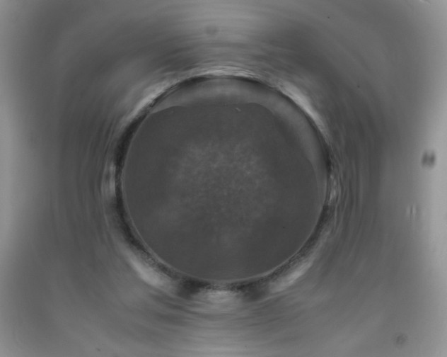 X0000092290205200709141306