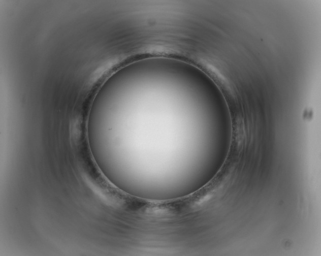 X0000092290208200709141306