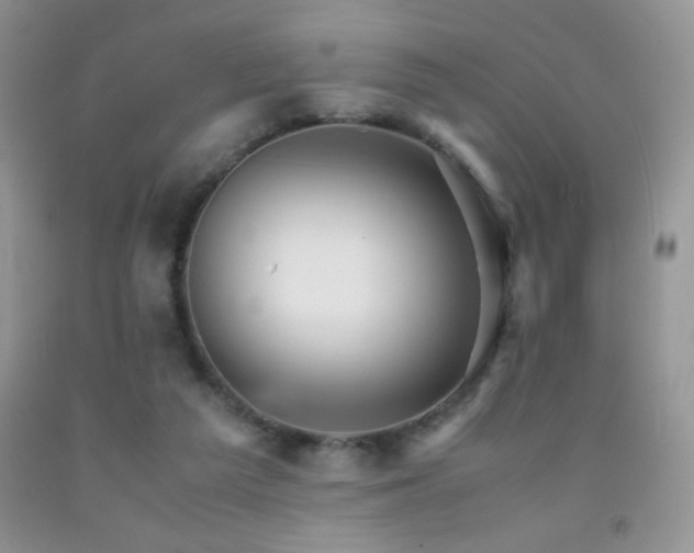 X0000092290209200709141306