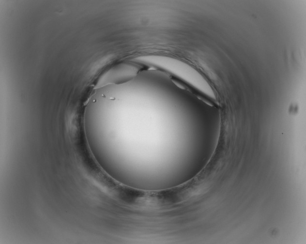 X0000092290211200709141306