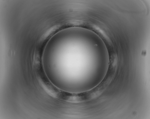 X0000092290212200709141306