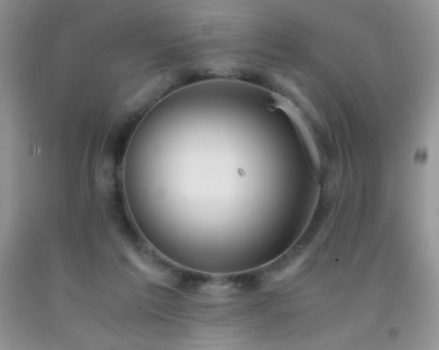 X0000092290213200709141306