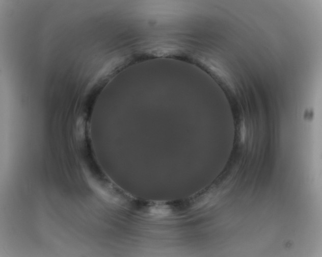 X0000092290214200709141306