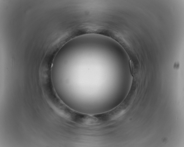 X0000092290215200709141306