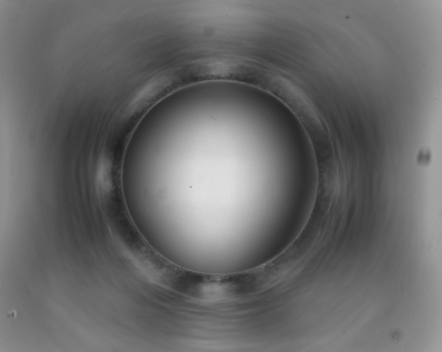 X0000092290216200709141306