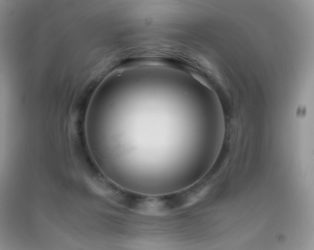 X0000092290217200709141306