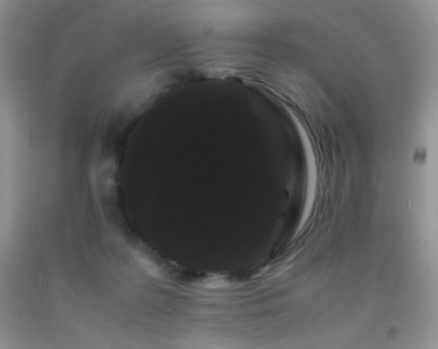 X0000092290219200709141306