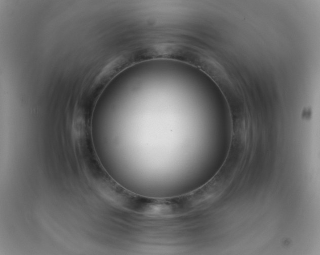 X0000092290220200709141306