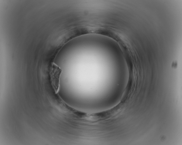 X0000092290221200709141306