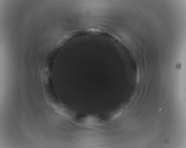 X0000092290223200709141306