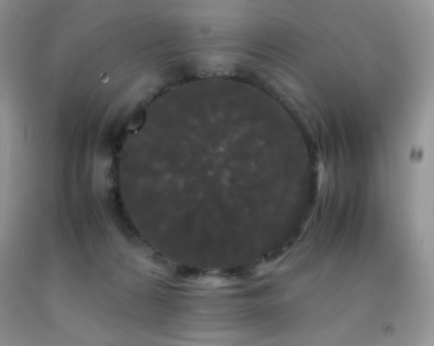 X0000092290224200709141306