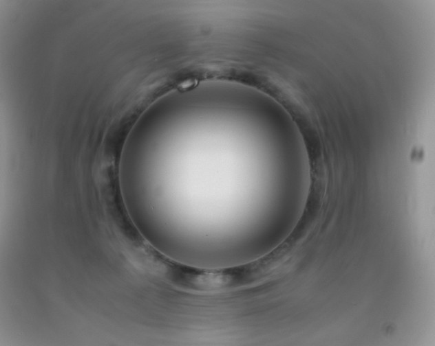 X0000092290225200709141306