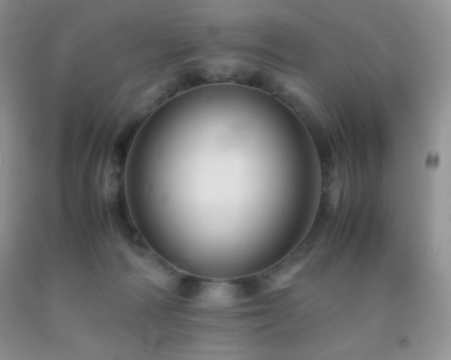 X0000092290226200709141306