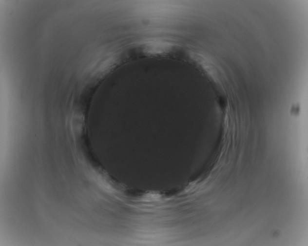 X0000092290227200709141306