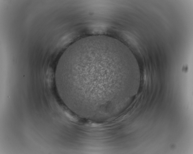 X0000092290228200709141306