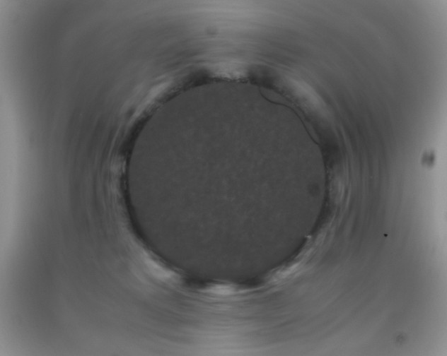 X0000092290229200709141306