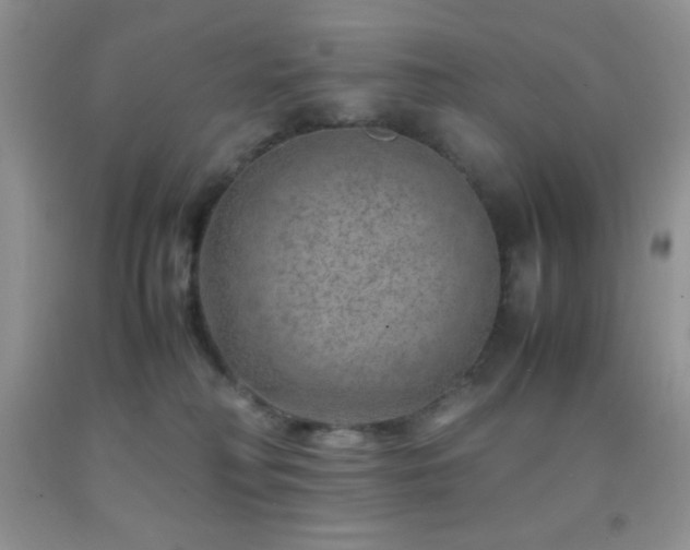 X0000092290230200709141306