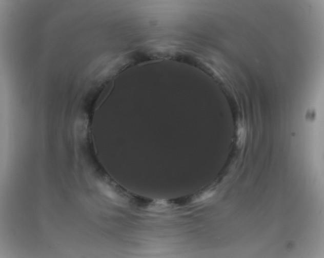 X0000092290231200709141306